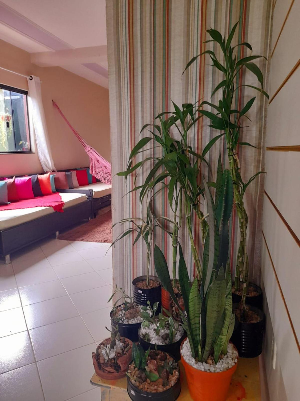 Verdes Hostel Palmas-To Екстериор снимка